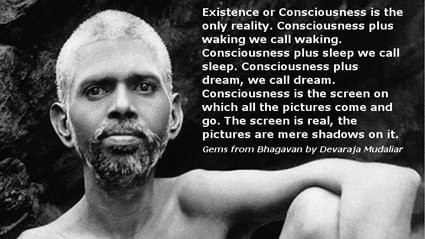 consciousness quote 