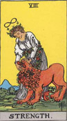 the strength tarot card